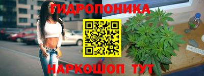 ECSTASY Краснознаменск