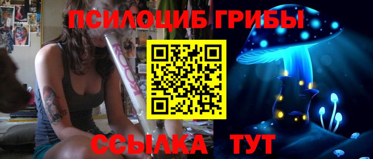Чебоксары  Галлюциногенные грибы MAGIC MUSHROOMS  Вход с VPN  Псилоцибиновые грибы Magic Shrooms 