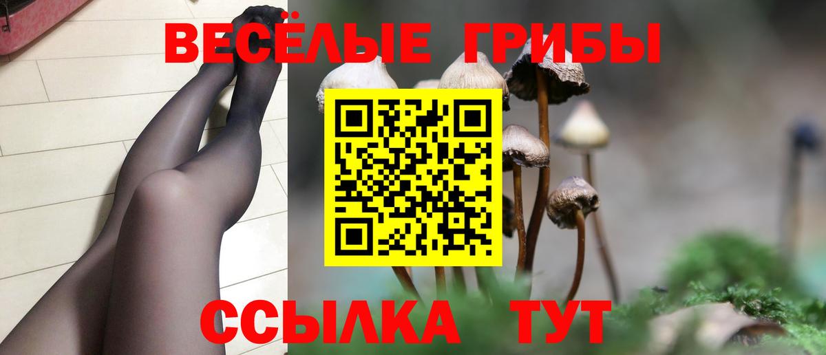 Галлюциногенные грибы Psilocybine cubensis Чебоксары